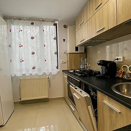 Musetesti Residential Modern Apartment North Bucharest-3